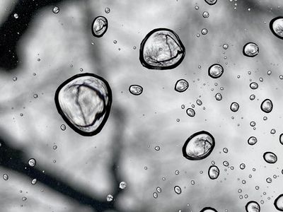 Soft light hitting a glass of water after a session.